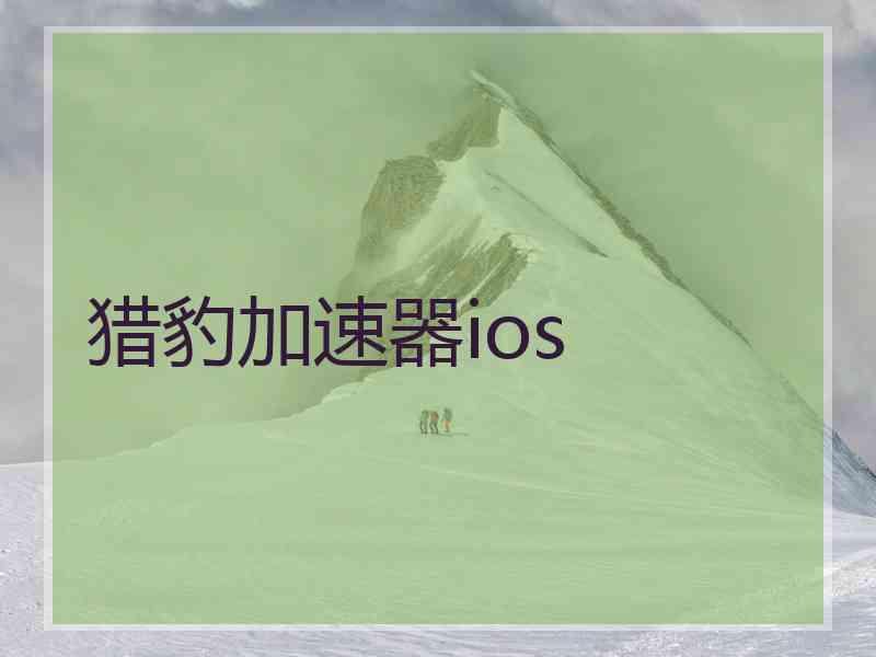 猎豹加速器ios