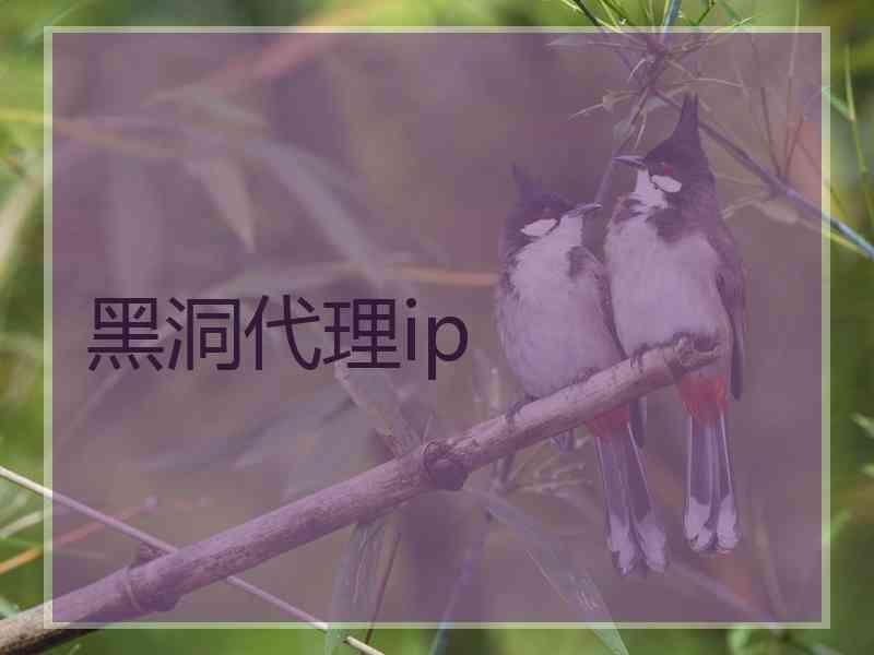 黑洞代理ip