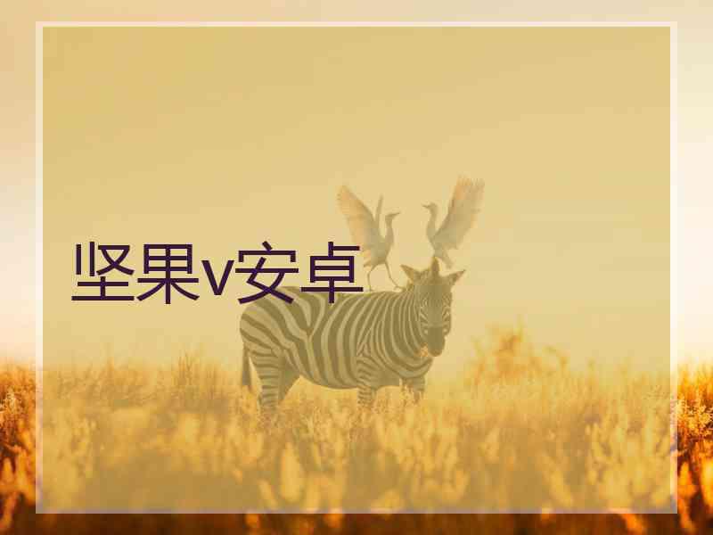 坚果v安卓
