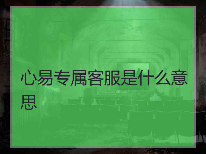 心易专属客服是什么意思