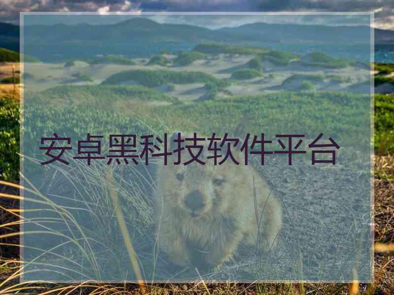 安卓黑科技软件平台