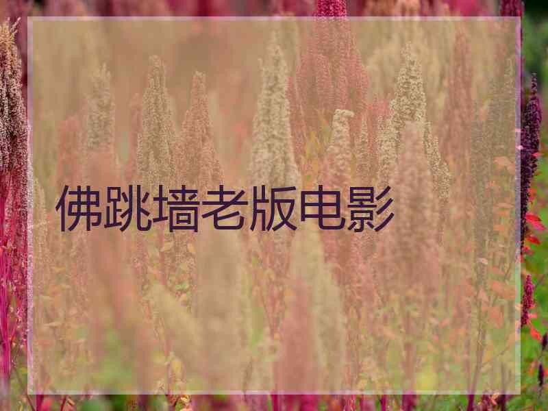 佛跳墙老版电影