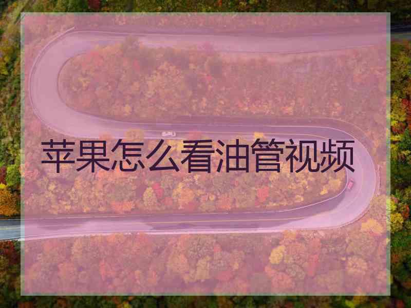苹果怎么看油管视频
