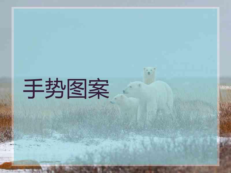 手势图案