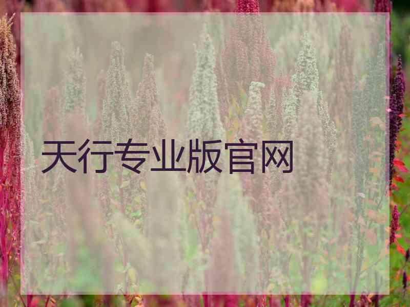 天行专业版官网
