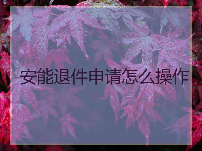 安能退件申请怎么操作